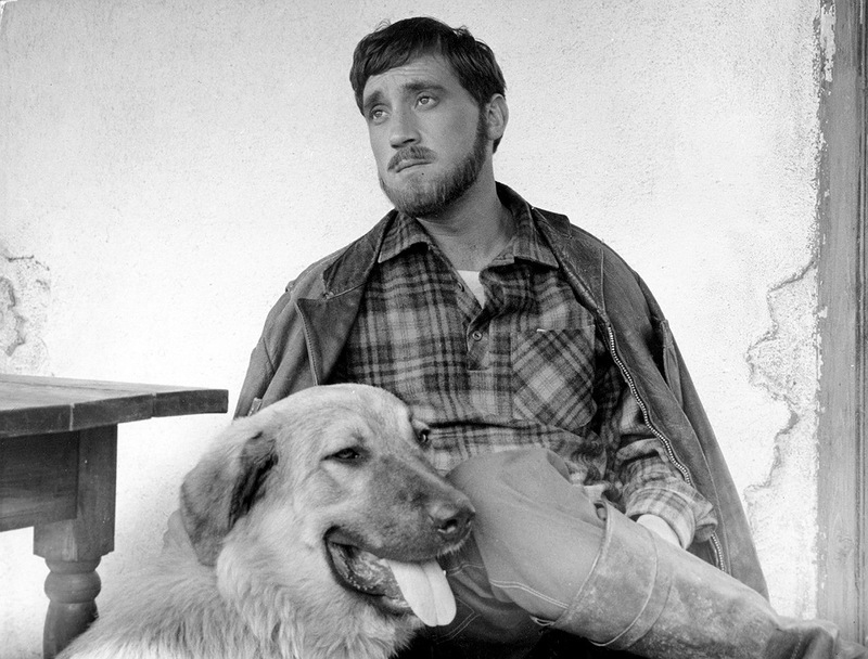 редкие кадры, архивные фото, знаменитости