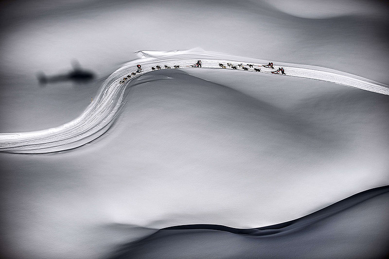 фотоконкурс, призёры, лауреаты, самый престижный, World Press Photo 2014