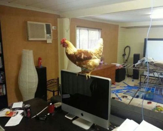 Забавные случаи,приколы, на работе