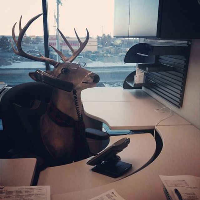 Забавные случаи,приколы, на работе