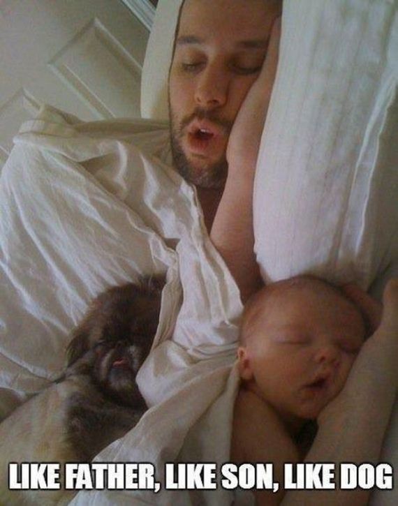А сынок то - весь в отца! Смешные фотографии пап со своими маленькими копиями Смешные фотографии, папы, сыновья, дети, маленькиме копии