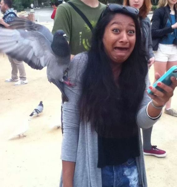 Позитив, юмор, смешные фотографии,прикол