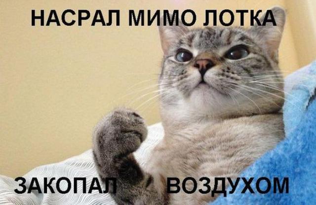 Позитив, юмор, смешные фотографии,прикол