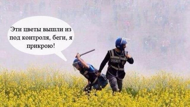 Позитив, юмор, смешные фотографии,прикол