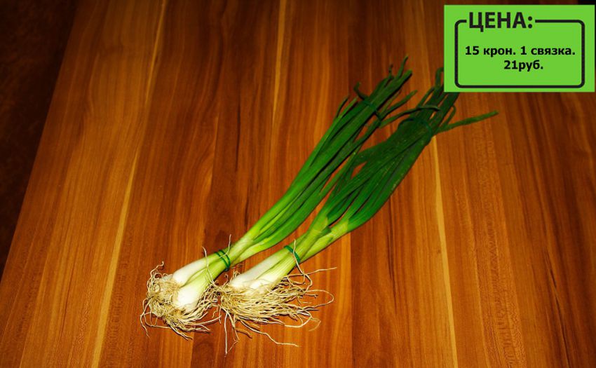 сколько стоят продукты в Чехии, Чехия цены, Чехия путешествие