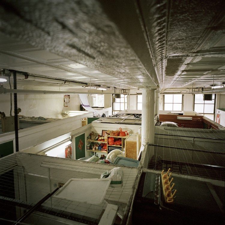 Жизнь китайских иммигрантов. фотограф Энни Лин, Annie Ling, проект A Floating Population