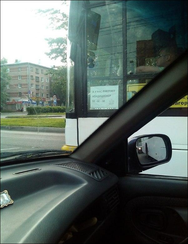 смешные надписи и объявления, маразмы