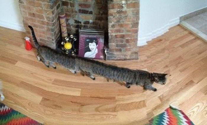 смешные фото панорамная съемка, неудачная панорамная съемка