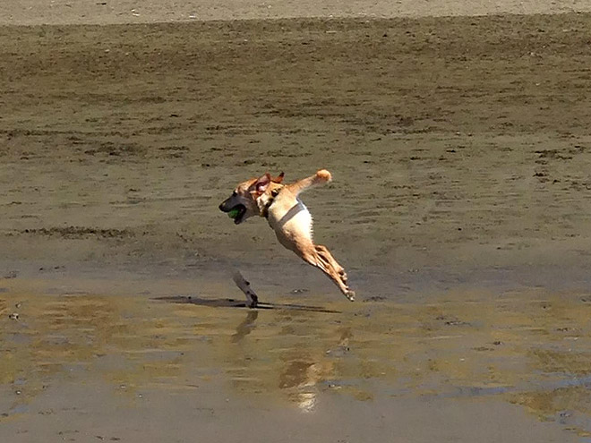 смешные фото панорамная съемка, неудачная панорамная съемка