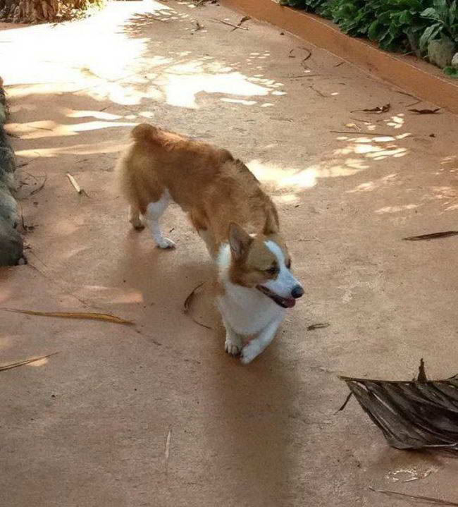 смешные фото панорамная съемка, неудачная панорамная съемка