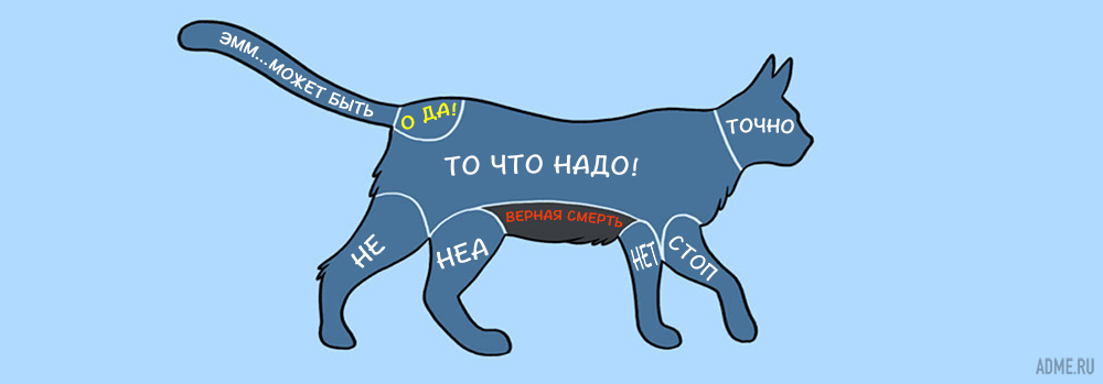 как гладить животных, где нельзя гладить животных