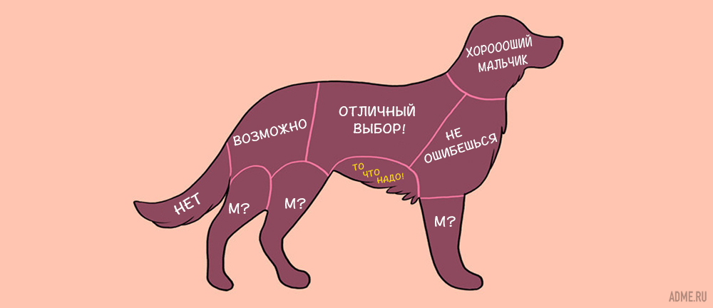 Сайт где можно гладить картинки