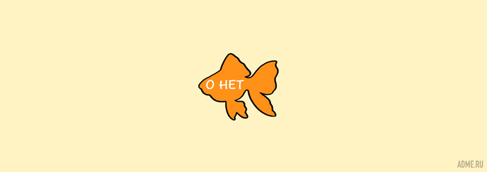 как гладить животных, где нельзя гладить животных