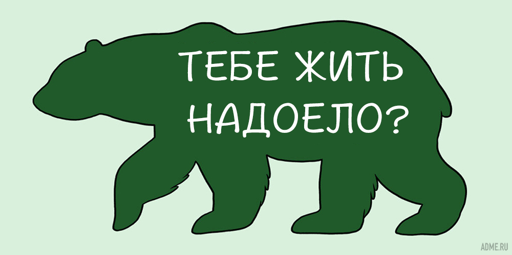 как гладить животных, где нельзя гладить животных
