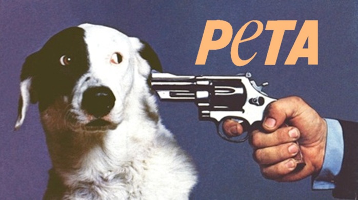 Альманах познавательных фактов обо всём на свете. Часть 22 познавательные факты обо всём на свете, спорим вы не знали