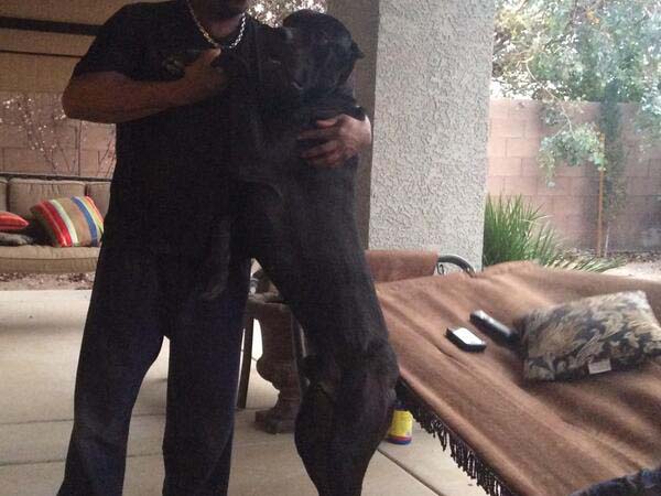 жены попросили муже пожажели, жены пожалели о своих просьбах,