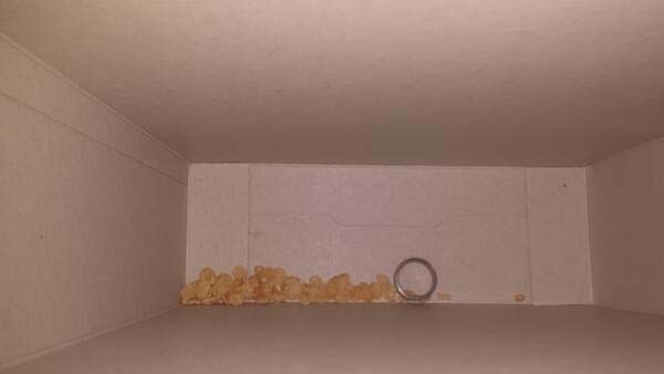 жены попросили муже пожажели, жены пожалели о своих просьбах,