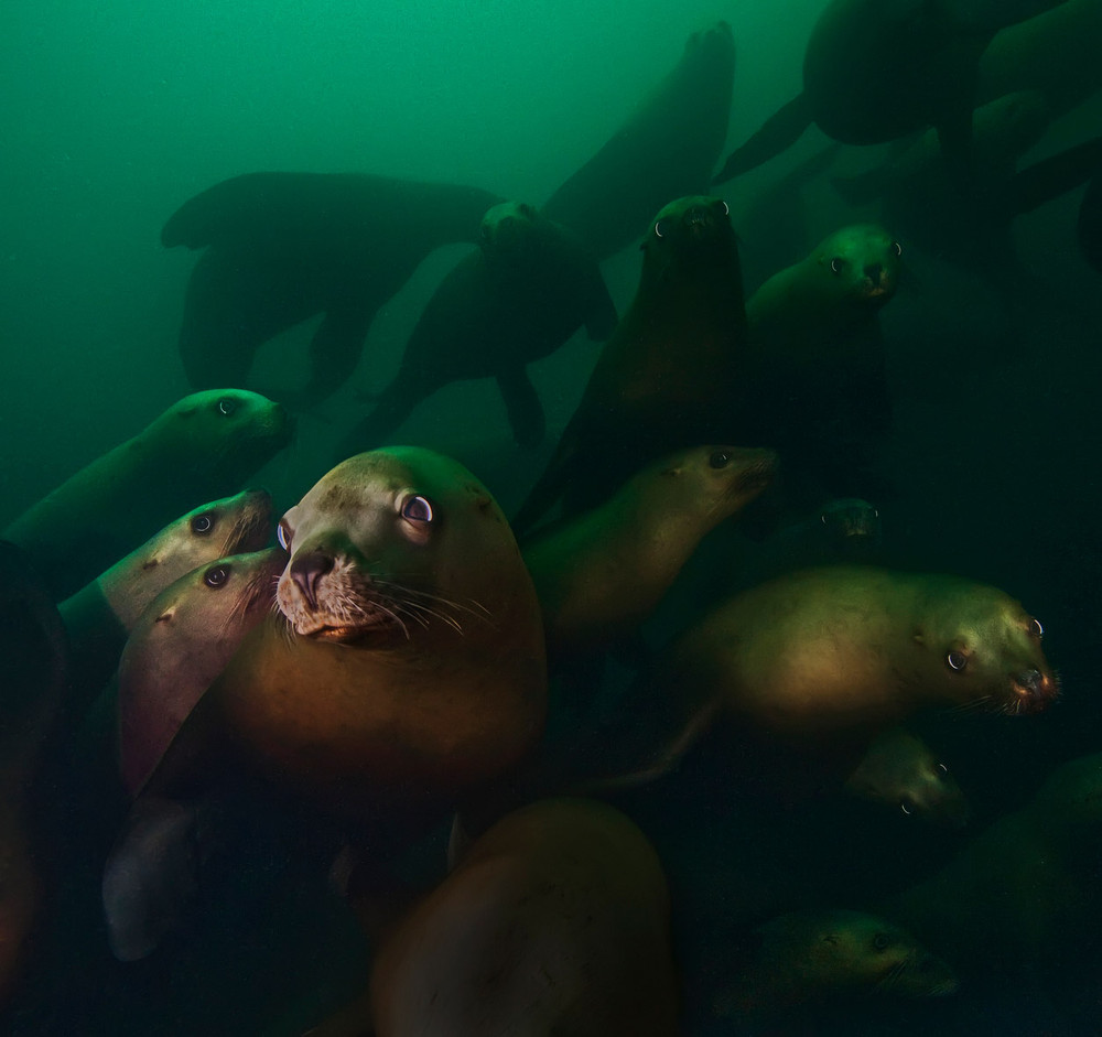 Фото водяная гладь