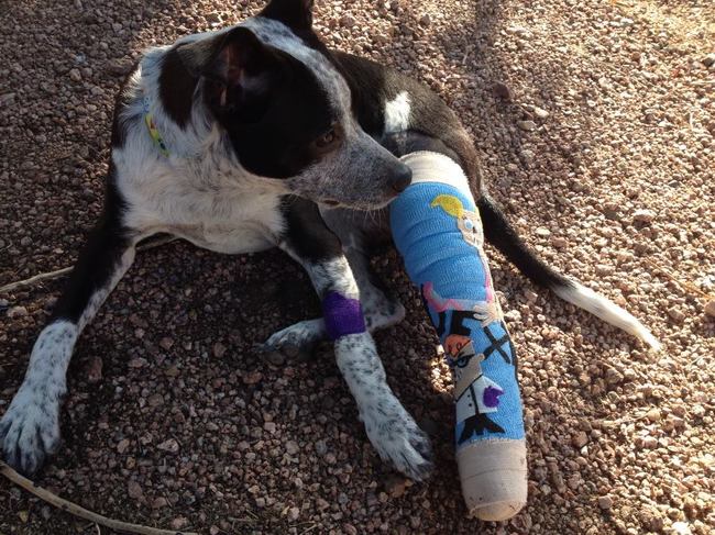 креативный гипс, необычные творческие повязки, разрисованный гипс, рисунки на гипсе