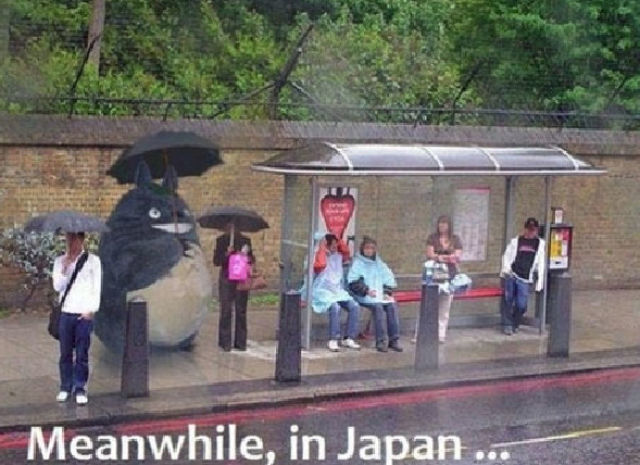 тем временем в, фотографии в стиле тем временем в