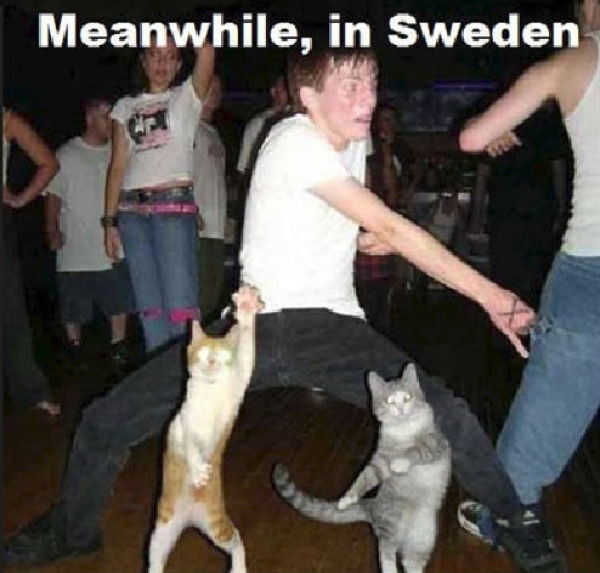 тем временем в, фотографии в стиле тем временем в