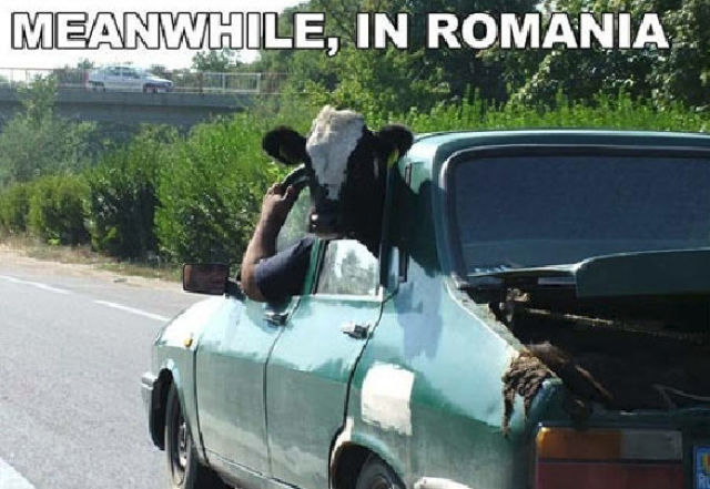 тем временем в, фотографии в стиле тем временем в