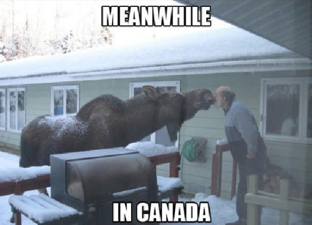 тем временем в, фотографии в стиле тем временем в