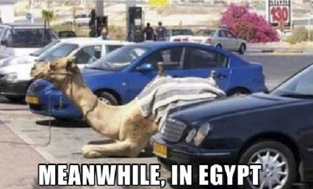 тем временем в, фотографии в стиле тем временем в