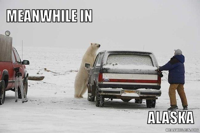 тем временем в, фотографии в стиле тем временем в