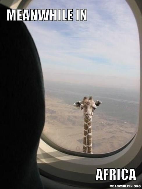 тем временем в, фотографии в стиле тем временем в