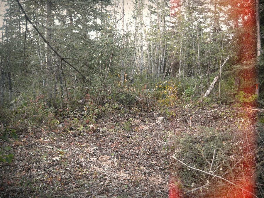 превратил грузовик в берлогу, перезимовать в грузовике в лесу, перезимовать в фургоне в лесу