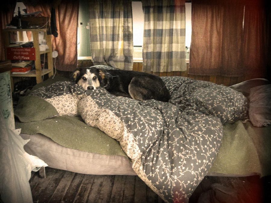 превратил грузовик в берлогу, перезимовать в грузовике в лесу, перезимовать в фургоне в лесу