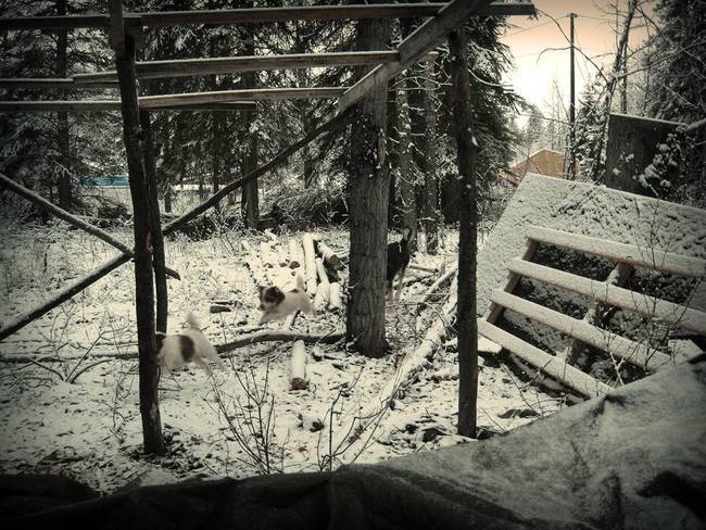 превратил грузовик в берлогу, перезимовать в грузовике в лесу, перезимовать в фургоне в лесу