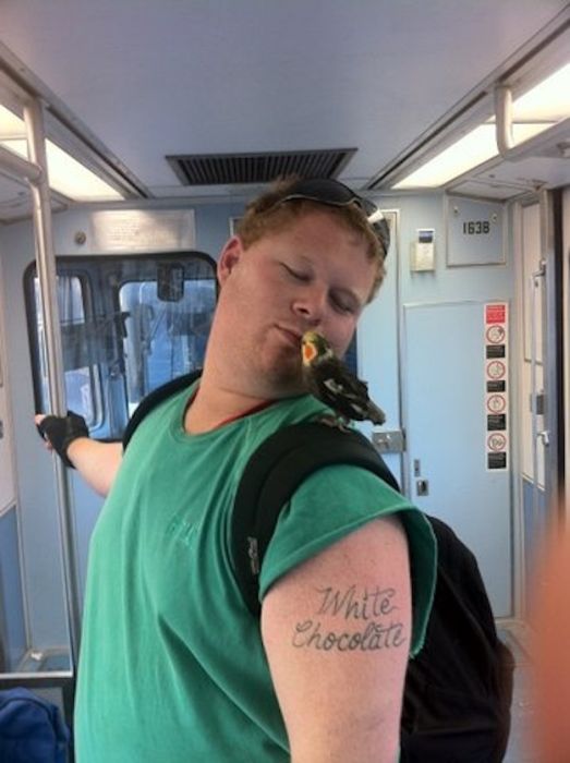 Чудаки в общественном транспорте V Чудаки, в общественном транспорте, фрики в автобусе