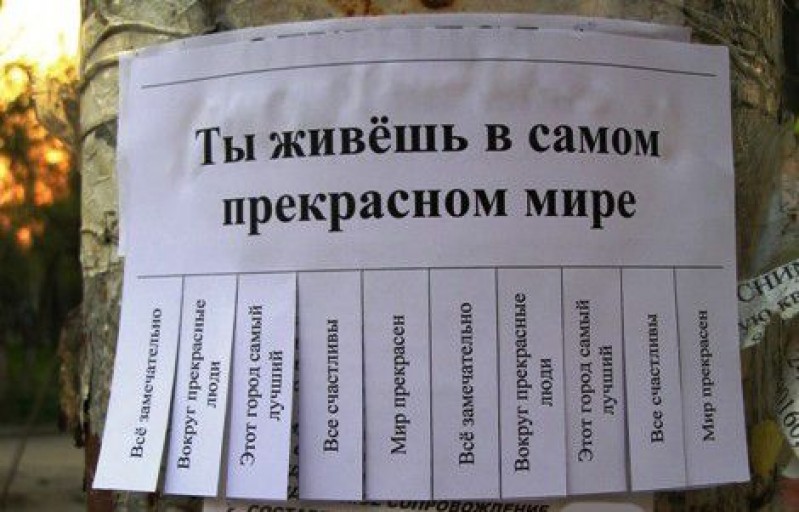 Самые трогательные и добрые объявления и вывески доброта, добро, трогательные объявления, добрые вывески