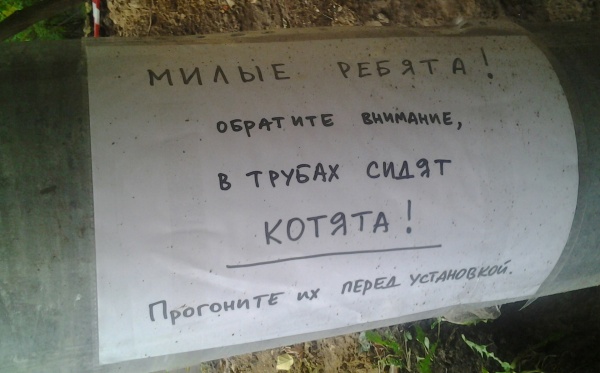 Самые трогательные и добрые объявления и вывески доброта, добро, трогательные объявления, добрые вывески