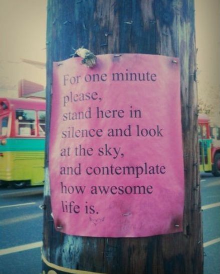 Самые трогательные и добрые объявления и вывески доброта, добро, трогательные объявления, добрые вывески