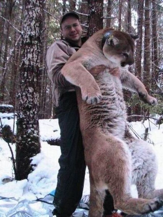 умом россию не понять, угадай страну, россия удивительная страна