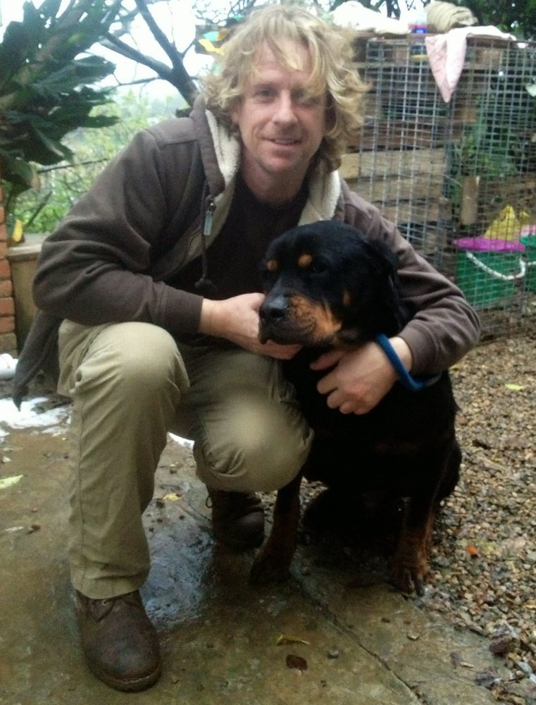 Rottweiler Tiny's,  трансформация ротвейлера Тайни, Sean McCormack, The Sanctuary