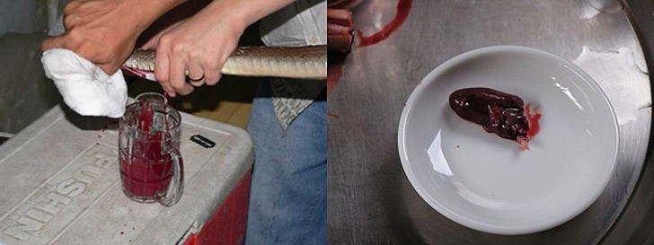 Экстремальные развлечения для нескучного летнего отдыха Экстремальные летние развлечения, экстрим