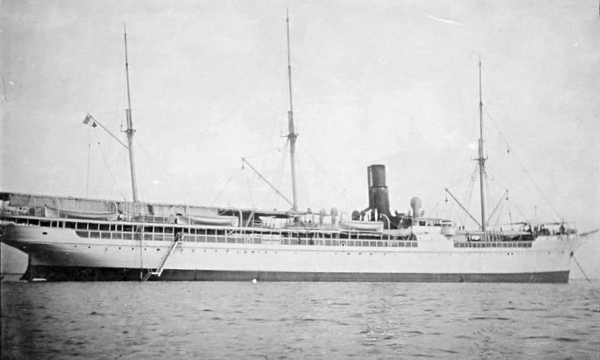 нападение акулы на человека, истории акула напала