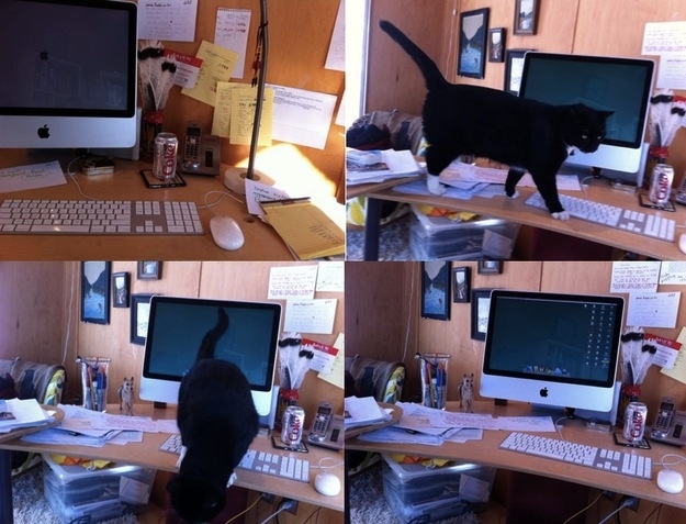 рабочие места художников, рабочие места творческих людей места где творят, рабочее пространство творческих людей