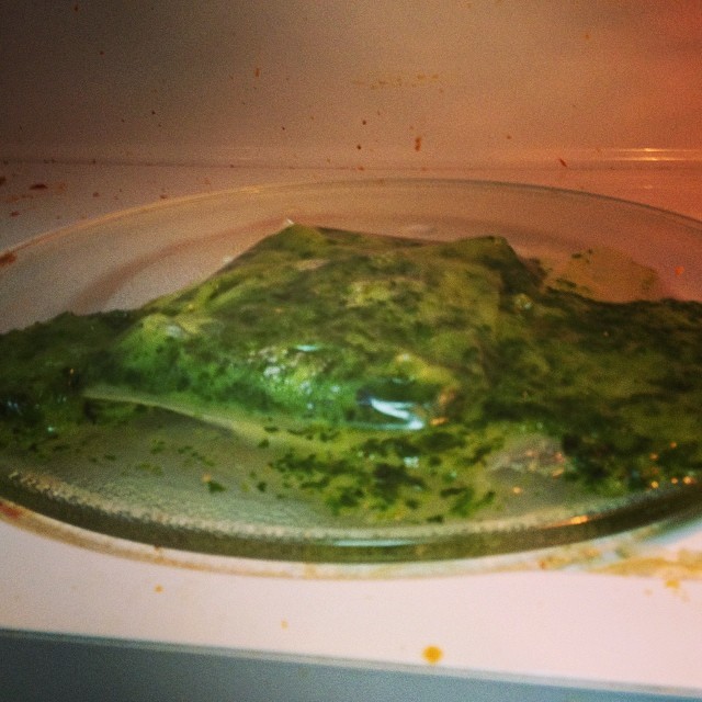 25 смешных микроволновых бедствий микроволновка неудачи провал, Microwave fail