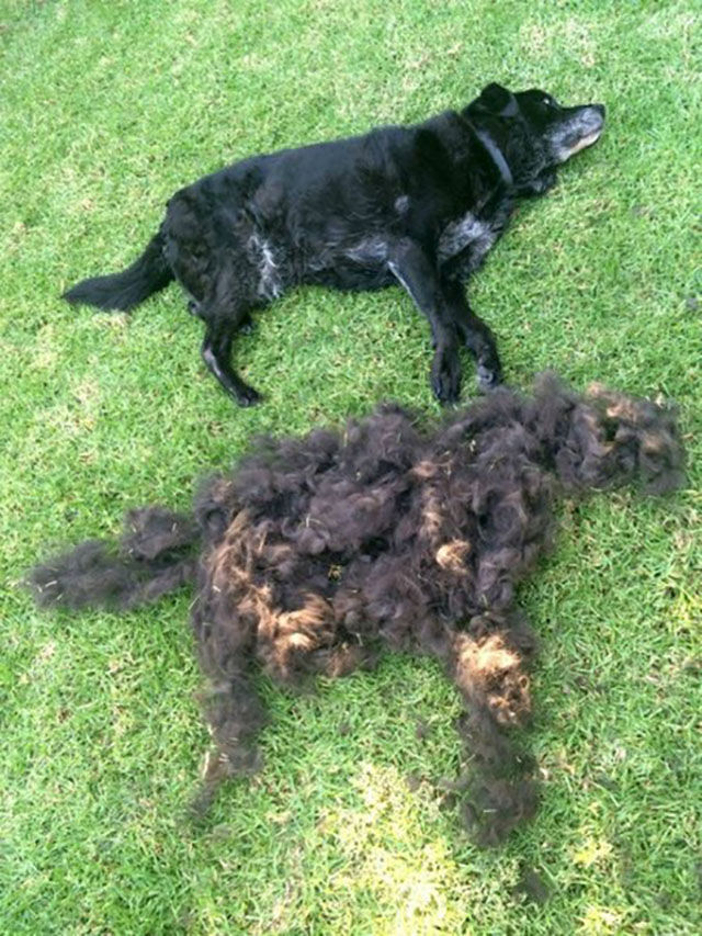 фотогарфии достойные внимания, трогательные фото, снимки до глубины души