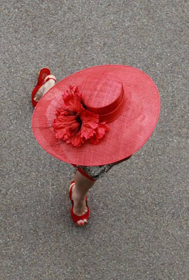 фотогарфии достойные внимания, трогательные фото, снимки до глубины души