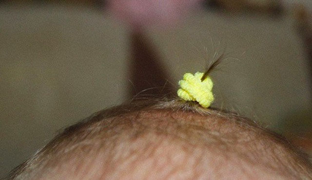 фотогарфии достойные внимания, трогательные фото, снимки до глубины души