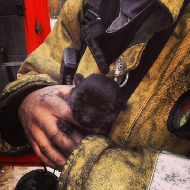 Instagram MЧС России