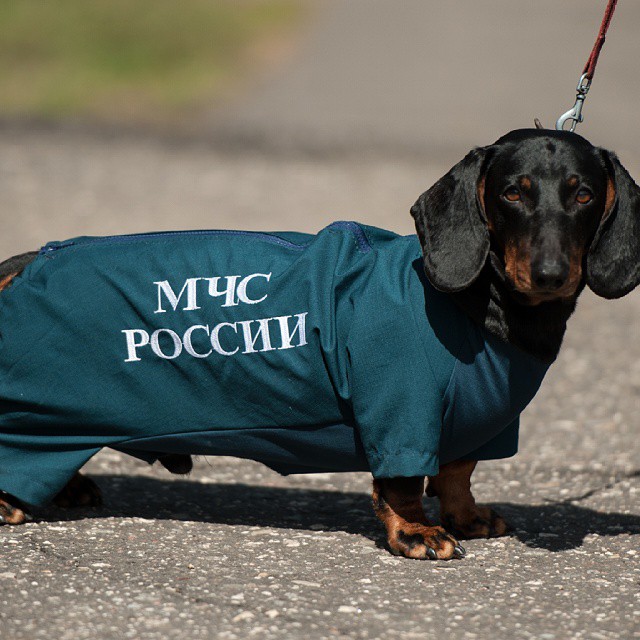 Instagram MЧС России