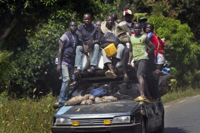 Такое можно увидеть только в Африке Тем временем в, Между тем в Африке, meanwhile in africa, африка