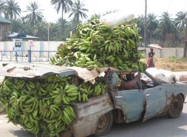 Такое можно увидеть только в Африке Тем временем в, Между тем в Африке, meanwhile in africa, африка